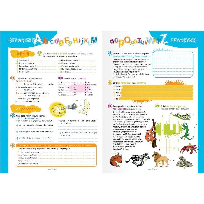 3147281911209-Cahier de textes Oxford Funny Pets - Megatext® - 15 x 21 cm - différents modèles disponibles - Hamel--9