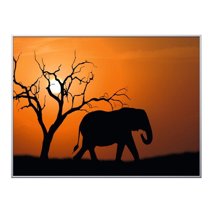 3660141890846-Cadre de décoration plexi/alu - 61 x 81 cm - Elephant-Avant-0