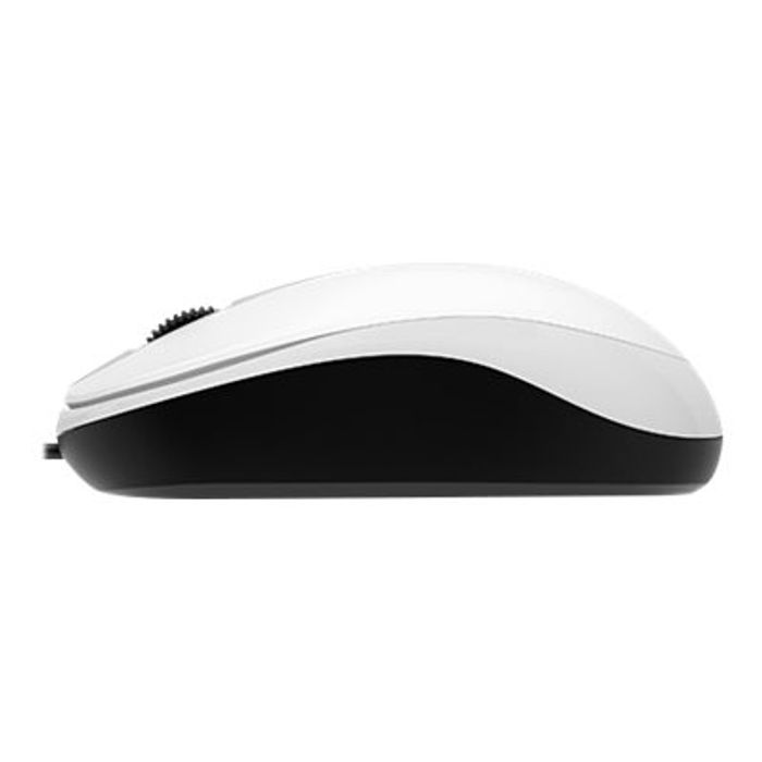 4710268250982-Genius DX-120 - souris filaire - blanc-Droite-3