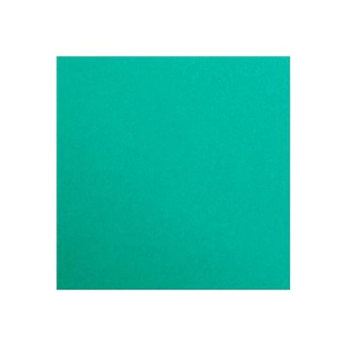 3329680972511-Clairefontaine Maya - Papier à dessin - 50 x 70 cm - 270 g/m² - vert foncé-Avant-0