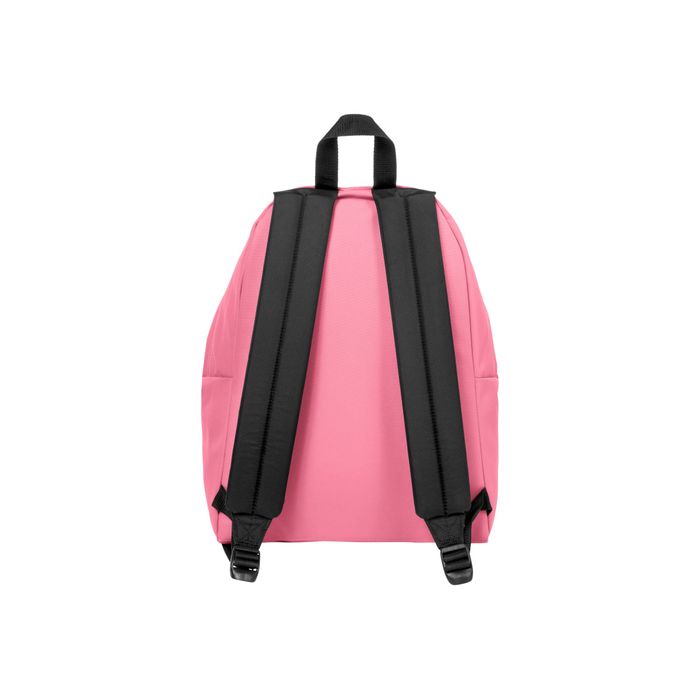 3663991047729-EASTPAK Padded Pak'r - Sac à dos - 40 cm - Starfish pink-Arrière-2