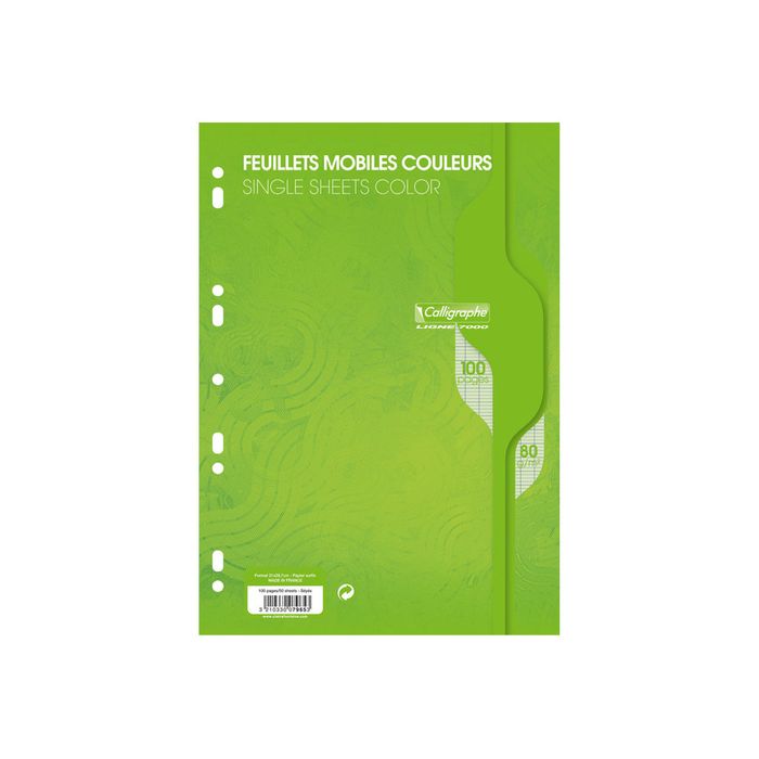 3210330079653-Calligraphe - feuilles simples A4 - 100 pages - grands carreaux (Seyes) - perforées - vert-Avant-0