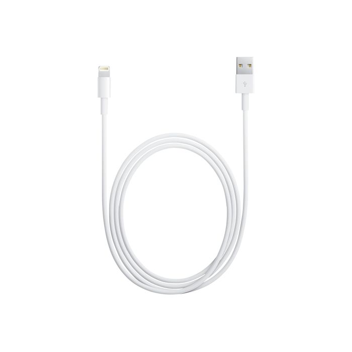 0885909627424-Apple câble Lightning - Lightning / USB - 1 m-Avant-0
