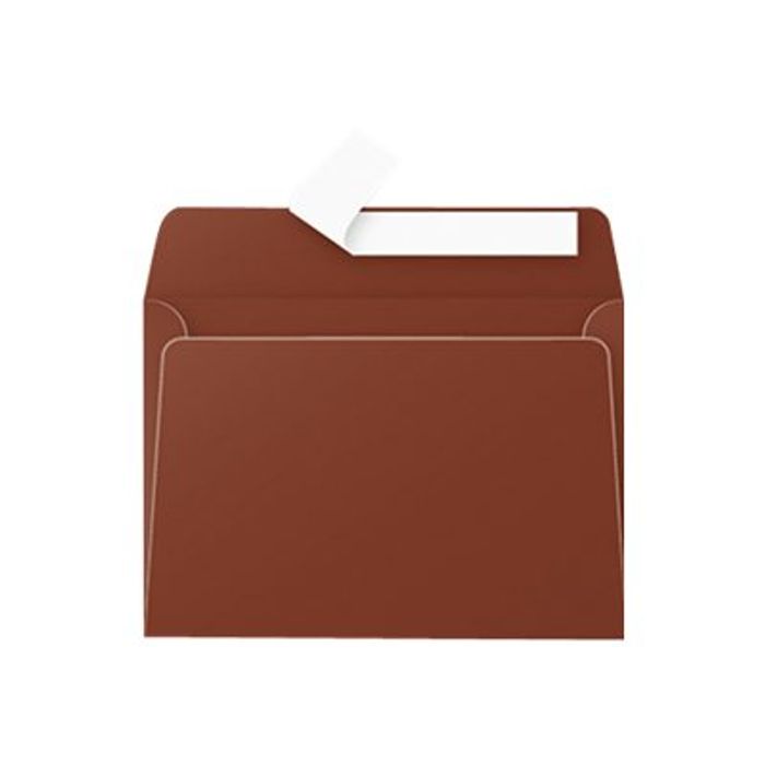 3329680052367-Pollen - 20 Enveloppes - 114 x 162 mm - 120 g/m² - chocolat-Avant-0