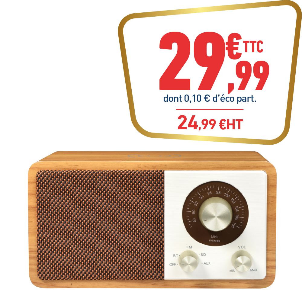 ENCEINTE BLUETOOTH HALTERREGO