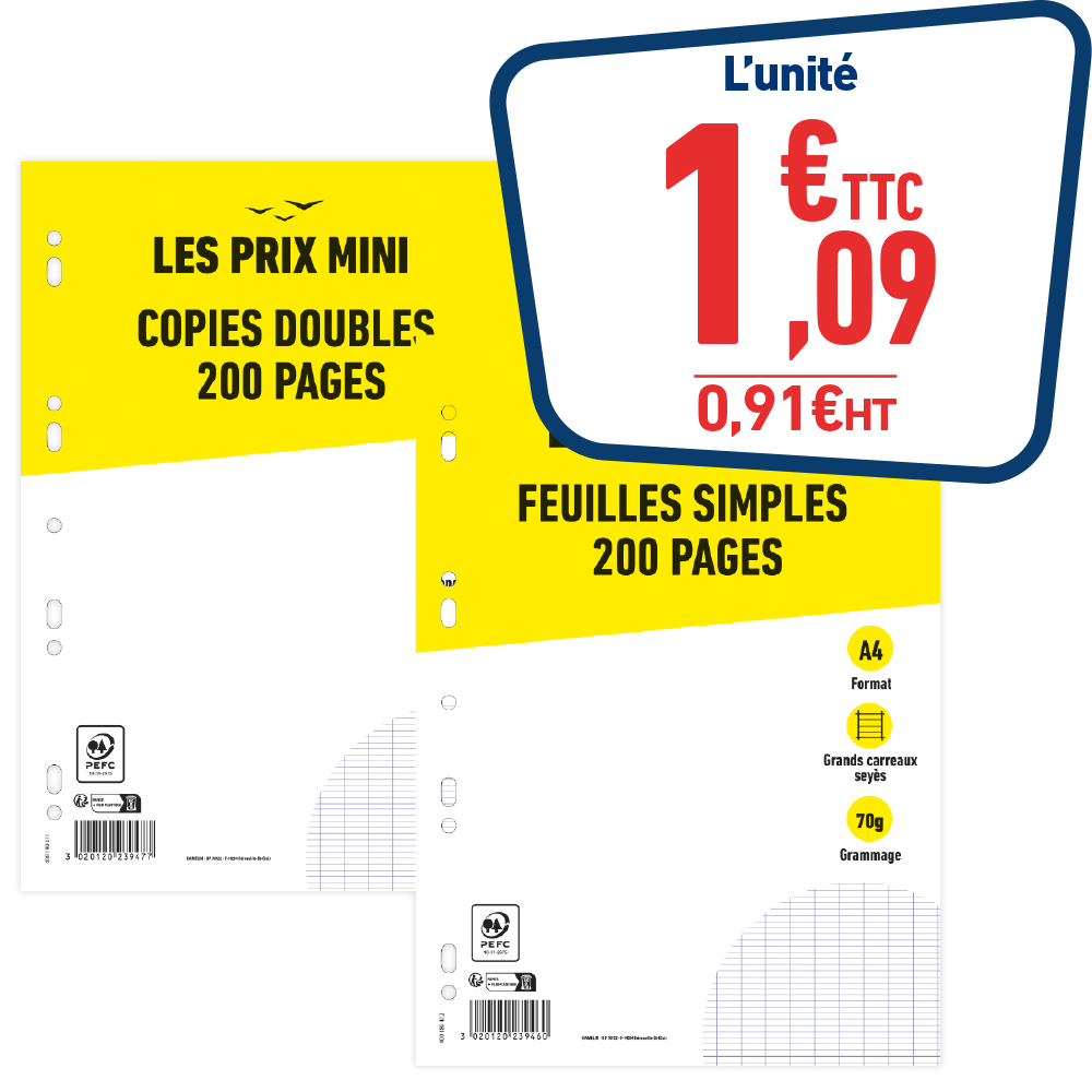 COPIES DOUBLES OU FEUILLES SIMPLES 200 PAGES