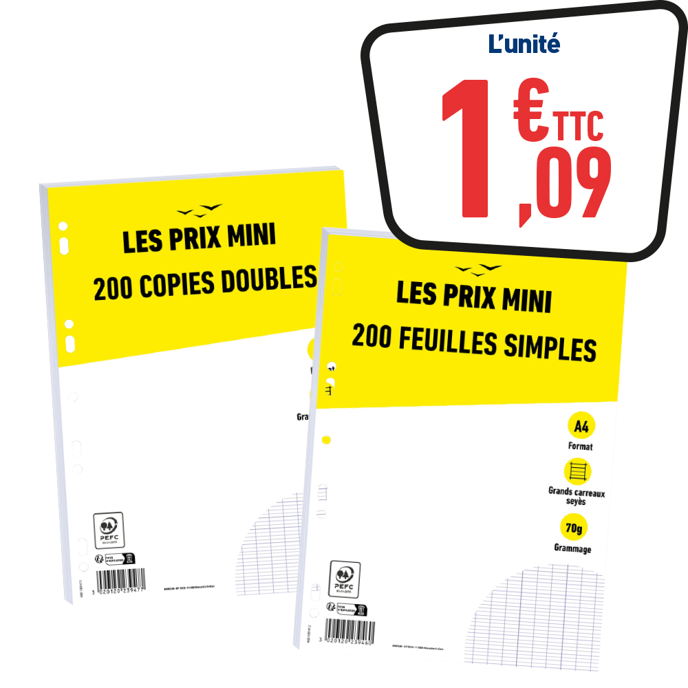 COPIES DOUBLES OU FEUILLES SIMPLES 200 PAGES